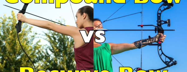 Compound vs Recurve Bow: Which One Should You Choose?