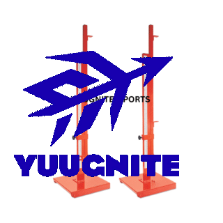 Competition High Jump Stand