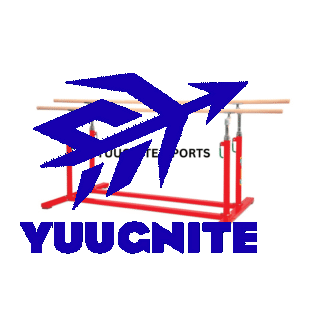 Gymnastic Parallel Bars