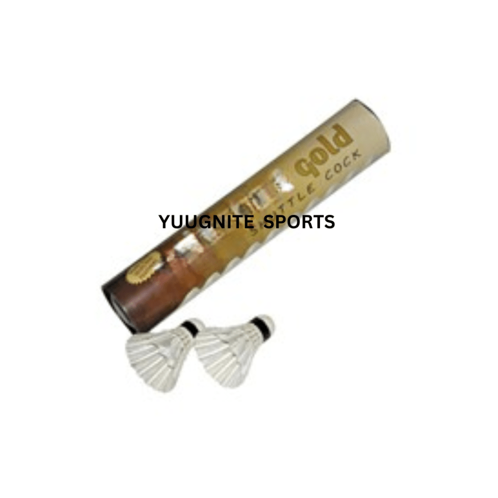 Best Archery Equipment in India