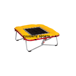 Mini Trampoline