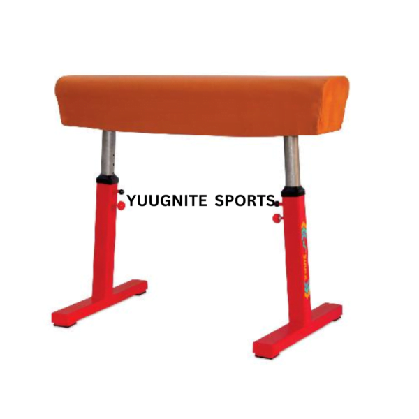 Vaulting Horse