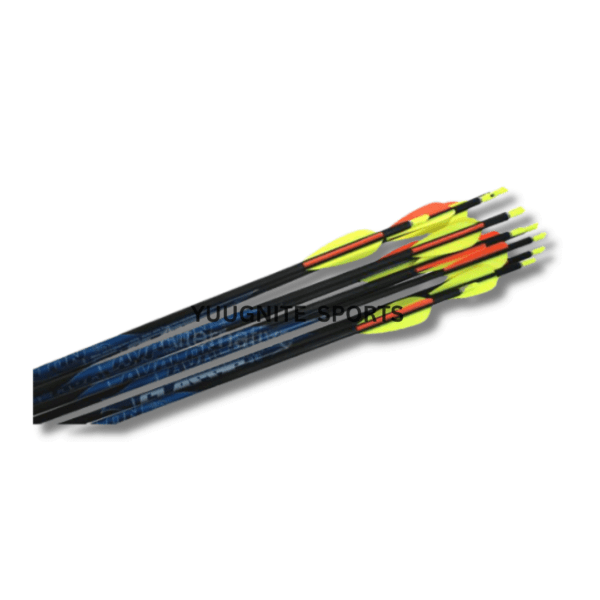 Avalon classic carbon arrow