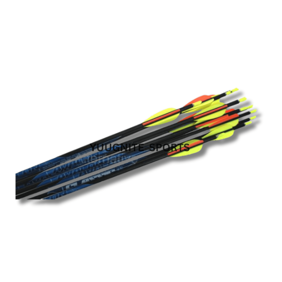 Best Archery Equipment in India Avalon classic carbon arrow