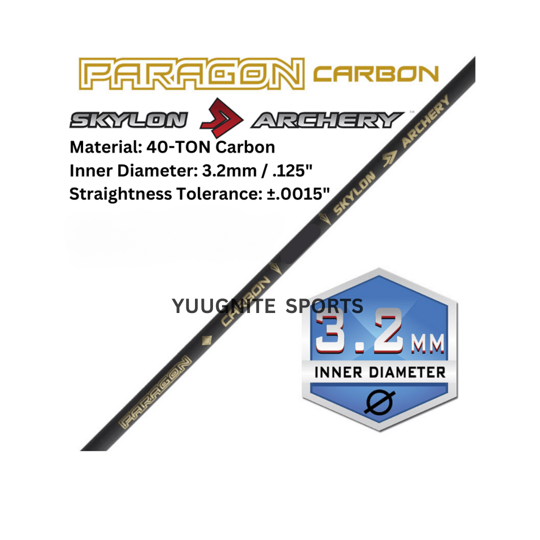 Best Archery Equipment in India Skylon Paragon arrow