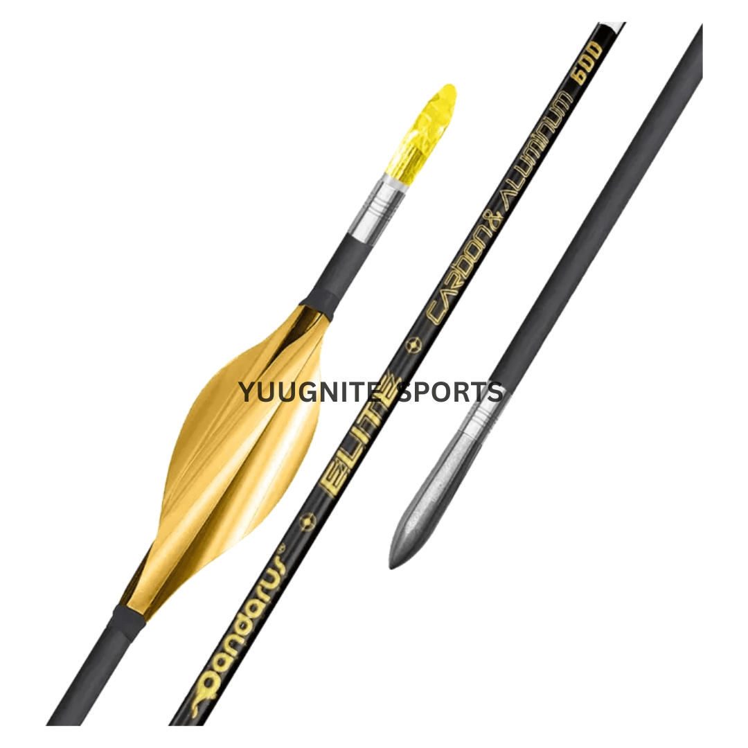 Best Archery Equipment in India Pandarus Elite XT Parallel Aluminium Carbon Arrow